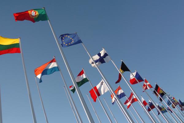 European and National flags of 25 Members States